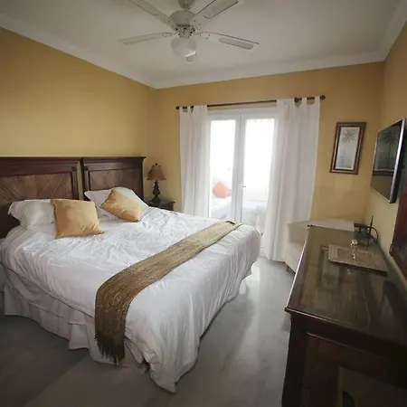 Stylish, Spacious With Sea View Apartment